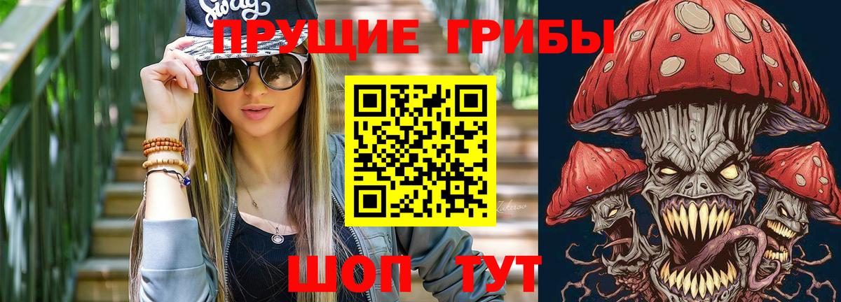 Псилоцибиновые грибы GOLDEN TEACHER Астрахань