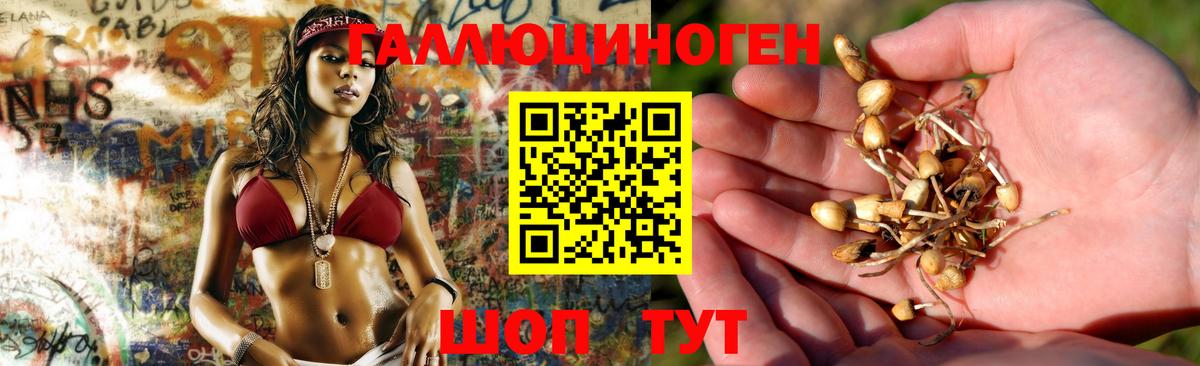 Астрахань  Псилоцибиновые грибы мицелий  Вход с VPN 